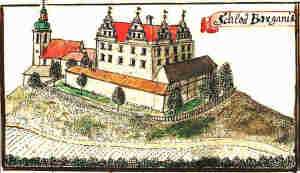 Schloss Borganie - Pałac, widok ogólny